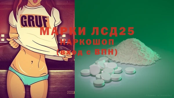 СК Новодвинск
