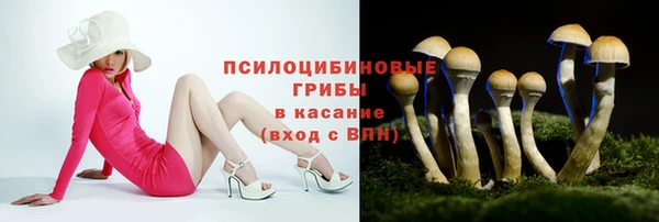 ПСИЛОЦИБИНОВЫЕ ГРИБЫ Нея