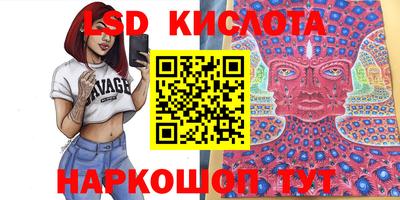 spice Заволжье