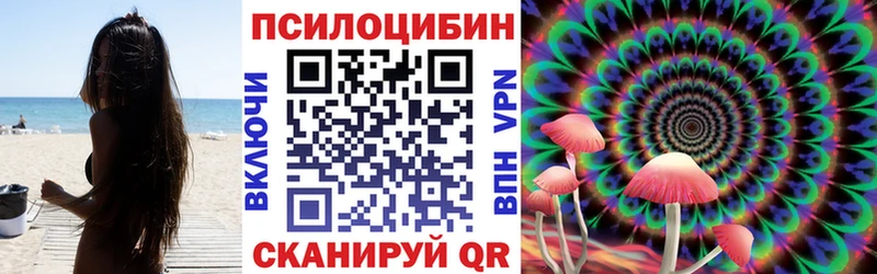 Галлюциногенные грибы Cubensis  Магадан 